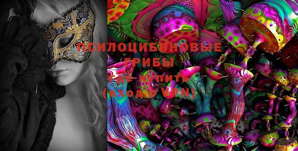 2c-b Абдулино