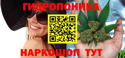 2c-b Пугачёв