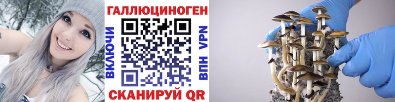 Псилоцибиновые грибы прущие грибы  кракен онион  Таганрог 