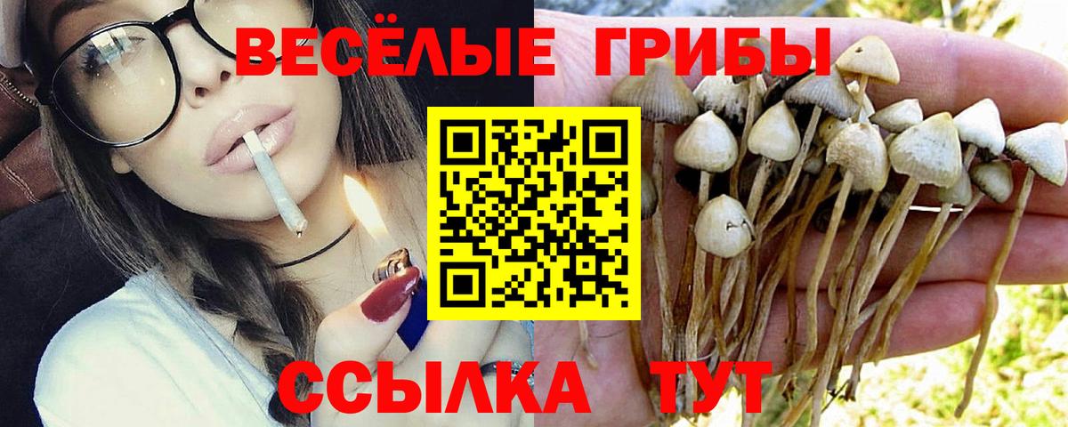 Псилоцибиновые грибы MAGIC MUSHROOMS  Вход с VPN  купить  цена  Таганрог 